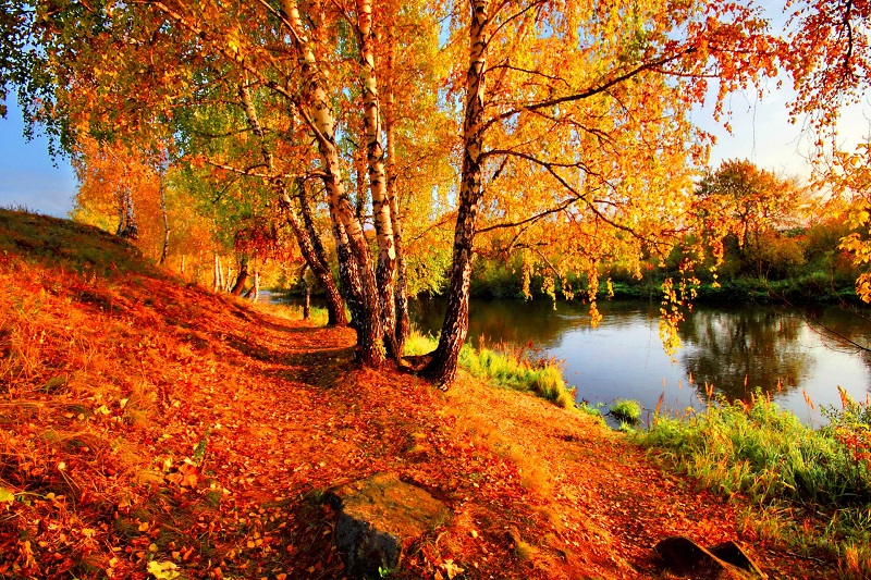 Осенний пейзаж.